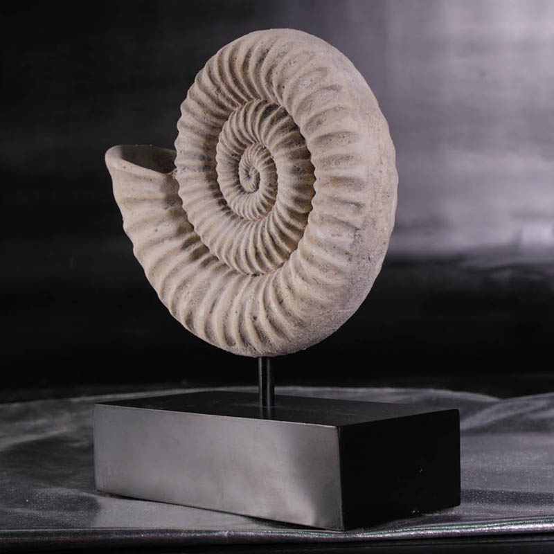 Ammonite NLC DECO