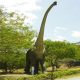 Brachiosaure-adulte dinosaure resine jurasik park nlc déco deco