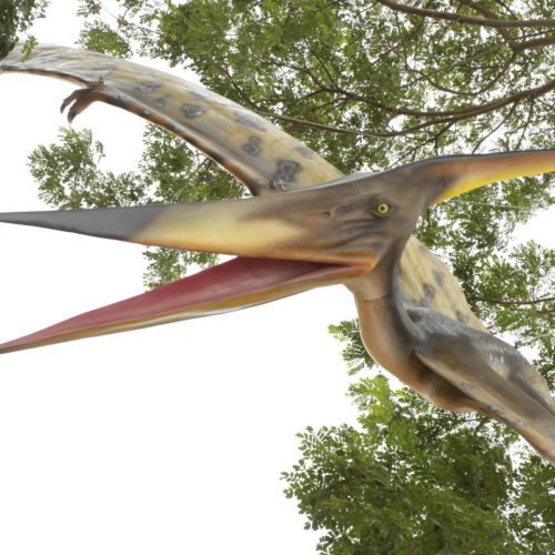 Ptéranodon geant dinosaure jurassic 120010 nlcdeco nlc deco