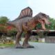 Spinosaurus dinosaure nlcdeco