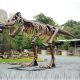 Squelette-de-T-Rex dinosaure resine nlc déco nlcdeco animaux prehistorique