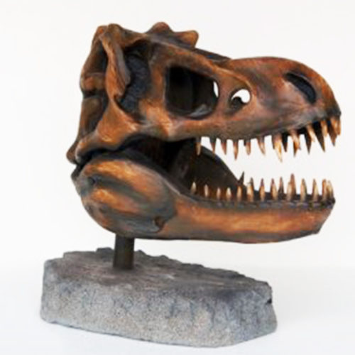 Squelette-tête-T-Rex nlc deco