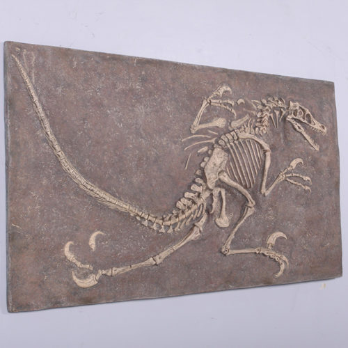 Tableau squelette Vélociraptor NLC DECO