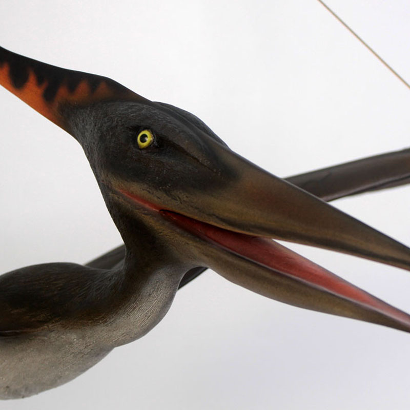 pteranodon dinosaures 110062 nlc deco