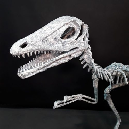 squelette de Deinonychus en résine nlcdeco