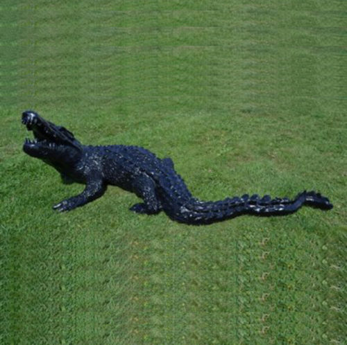 Crocodile-noir nlcdeco