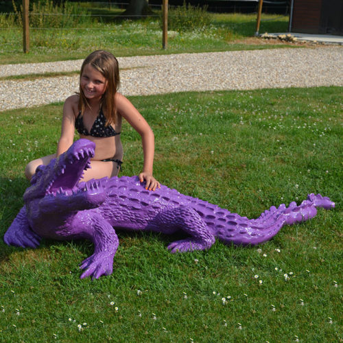 Crocodile-violet nlcdeco