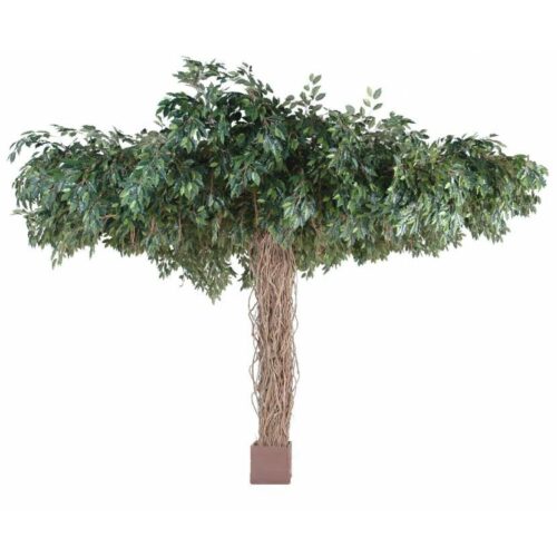 Ficus artificiel lianes nlcdeco