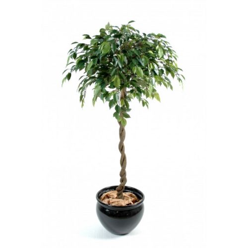 Ficus boule artificiel jardinerie nlcdeco