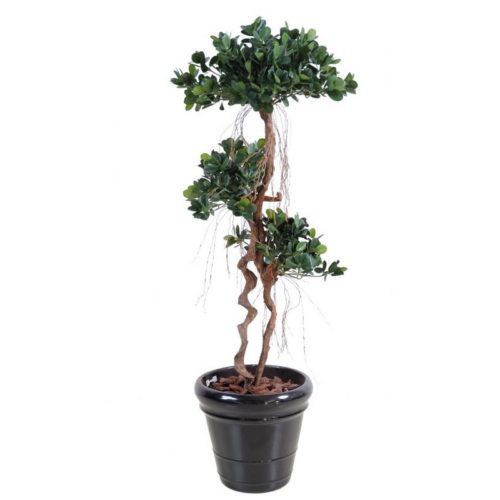 Ficus panda artificiel nlcdeco