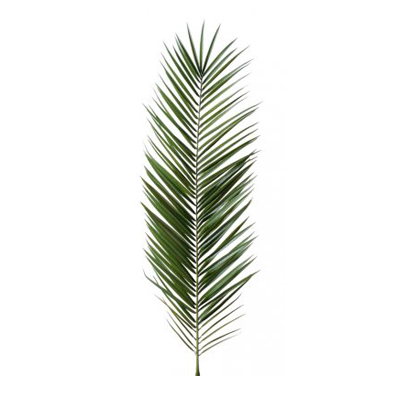 Palme Phoenix Canariensis Plante artificielle