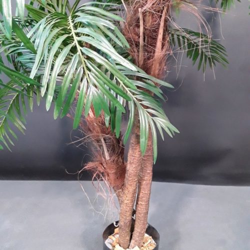 Palmiers avec 3 troncs artificiel nlcdeco