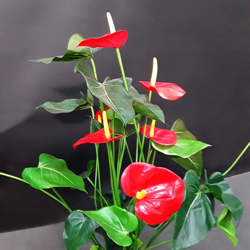 anthurium artificiel plante décorative bureau nlcdeco