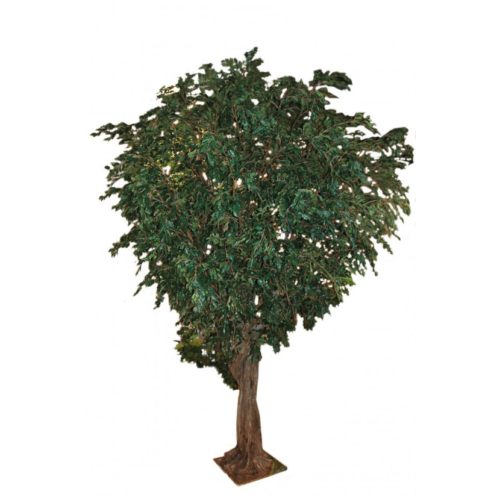 ficus-geant-tree