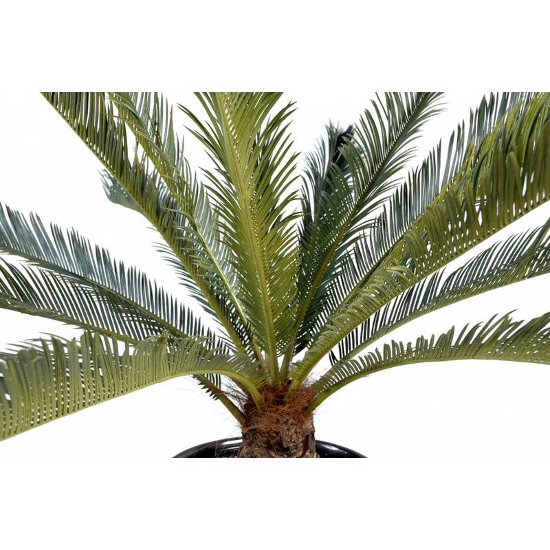 palmes palmier nlcdeco