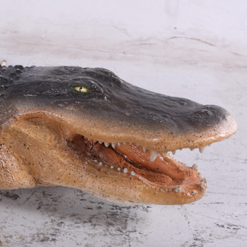 Alligator américain NLC DECO