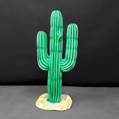 Cactus-Euphorbe-nlcdeco-.jpg