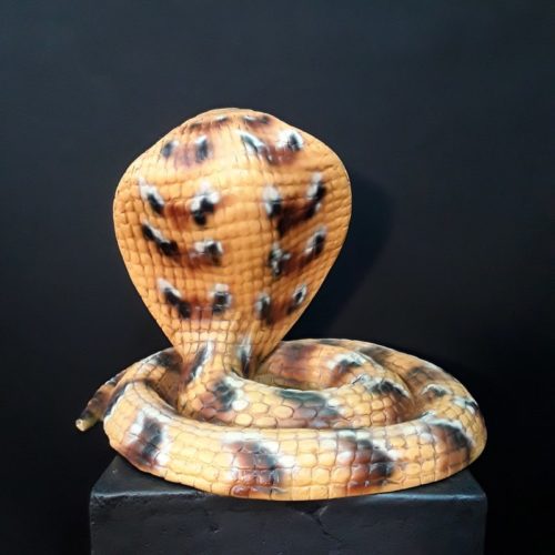 Cobra animal vénéneux nlcdeco