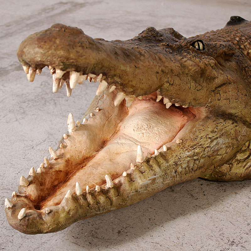 Crocodile 110091 nlcdeco