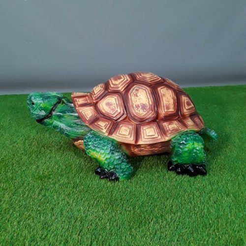 Fausse Tortue nlcdeco