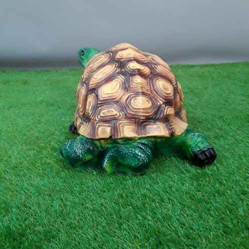 Fausse tortue nlcdeco