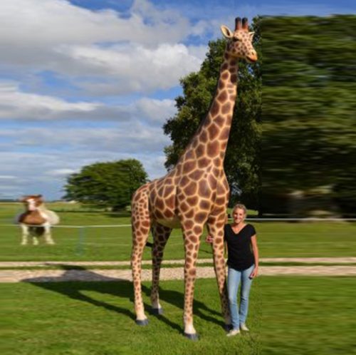 Girafe 3.60 m NLC DECO