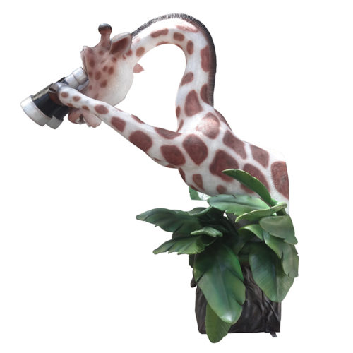 Girafe exploratrice