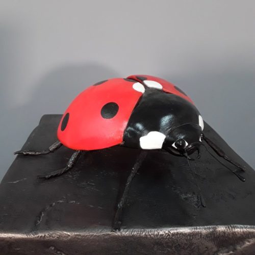 Insecte coccinelle nlcdeco