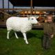 Mouton animaux de la ferme nlcdeco
