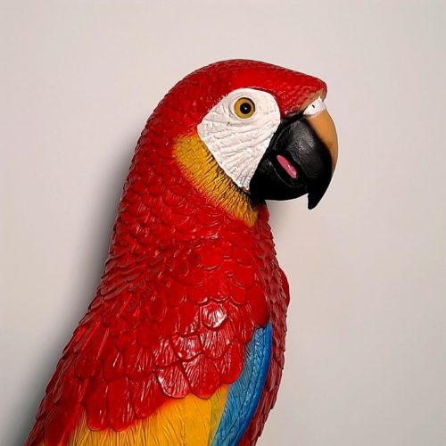 Perroquet, aras rouge nlcdeco