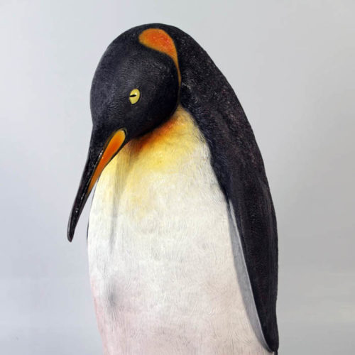 Pingouin nlc deco