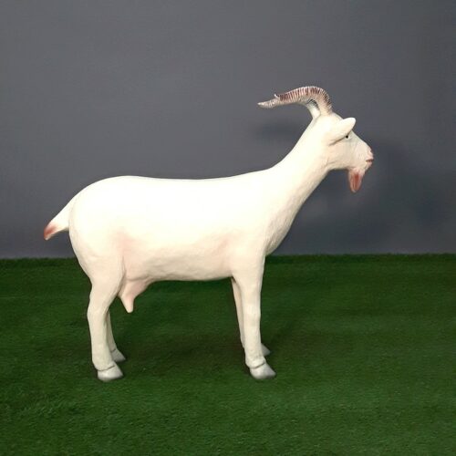 Reproduction chèvre blanche nlcdeco
