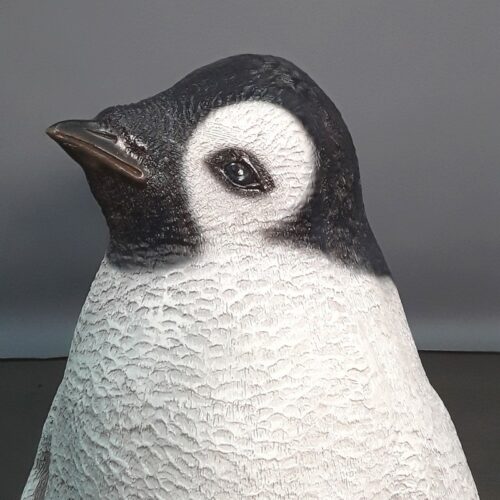 Tête d'un petit pingouin nlcdeco
