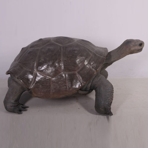 Tortue des Galapagos NLC DECO