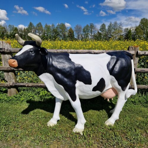 vache en résine grandeur nature noire et blanche vue de côté à l extérieur