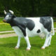 Vache-grandeur-nature-noir-et-blanc animaux en résine décoration rond point nlcdeco