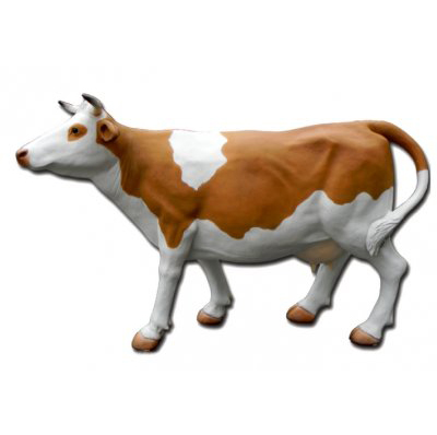 Vache marron et blanche