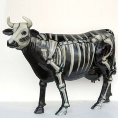 Vache squelette