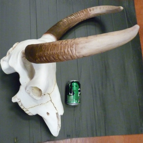 crane de taureau en resine Trophée-Crâne-de-Taureau nlc déco NLCDECO