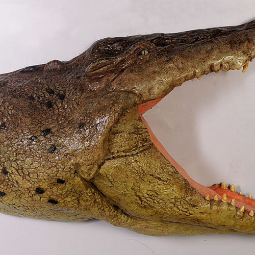 crocodile 110086 nlcdeco