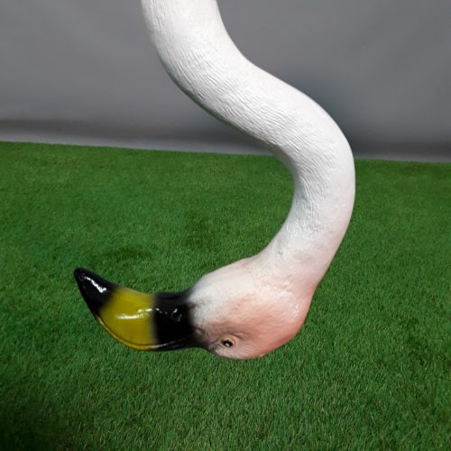 flamingo head down