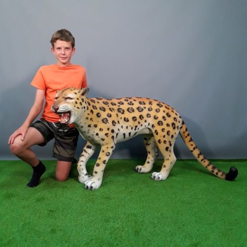 léopard animal sauvage nlcdeco