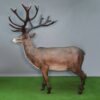 reproduction Cerf taille réelle nlcdeco