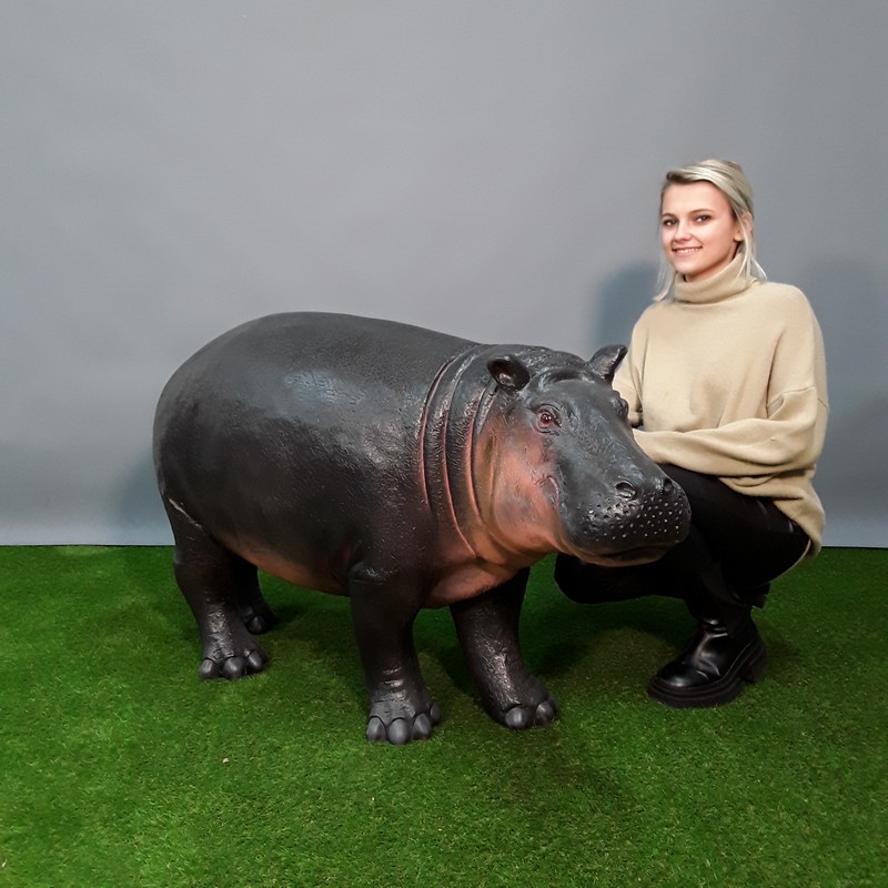 reproduction d'un bébé hippopotame nlcdeco