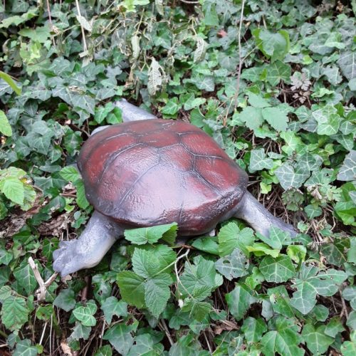 reproduction petite tortue nlcdeco