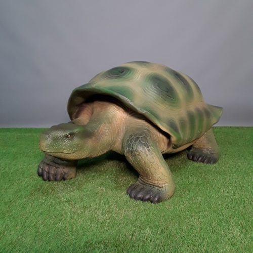 reproduction tortue géante nlcdeco