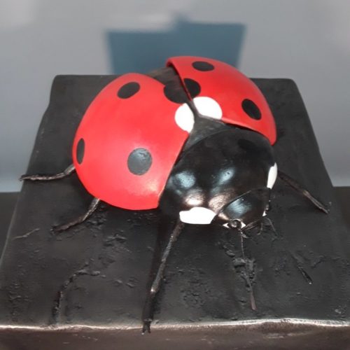 resin ladybug nlcdeco
