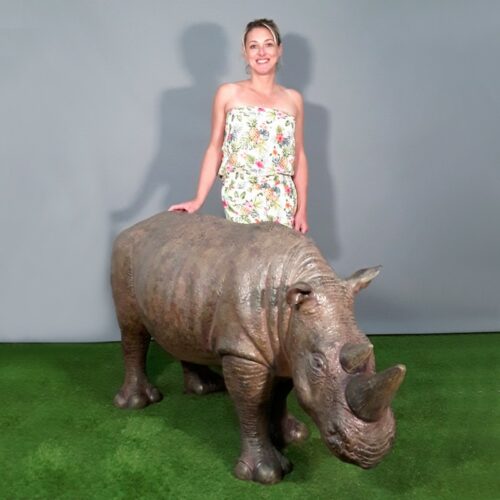 statue jeune rhinocéros en résine