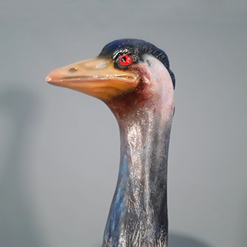 tête de l'Emeu d'australie oiseau nlcdeco