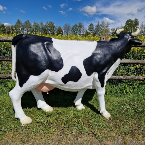 vache grandeur nature noire et blanche vue de côté